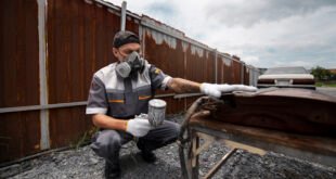 gutter cleaning services