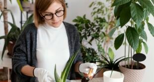 plants that repel snakes