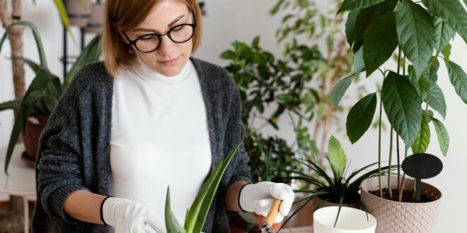 plants that repel snakes