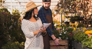 garden renovation cost