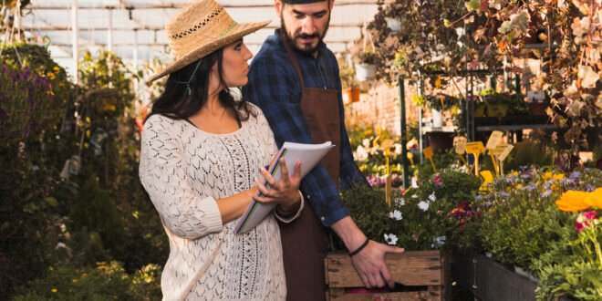 garden renovation cost